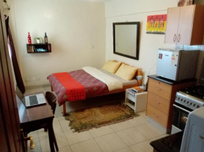Budget Studio Apartment - Furnished, with Fast Wifi and Netflix